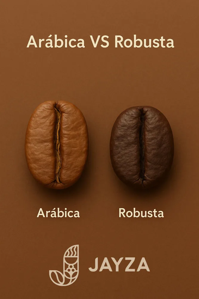 Diferencia entre café arábica y café robusta